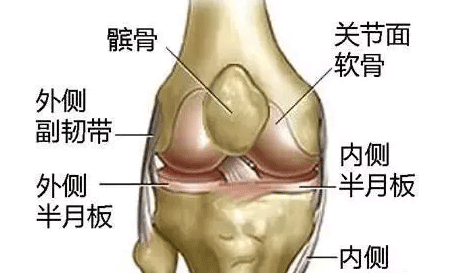 老人走不動(dòng)，主要因?yàn)樗? />                    <h6 class=